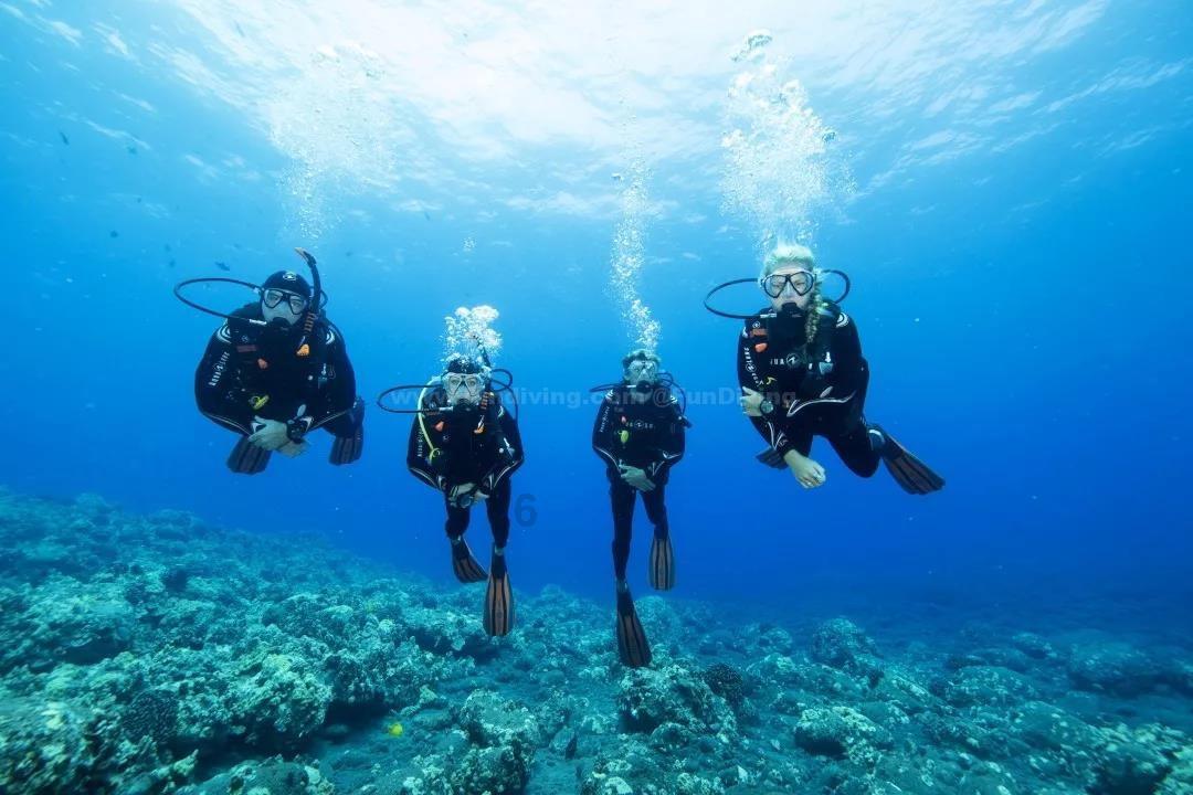湖北民族大学专升本|知识星球平台